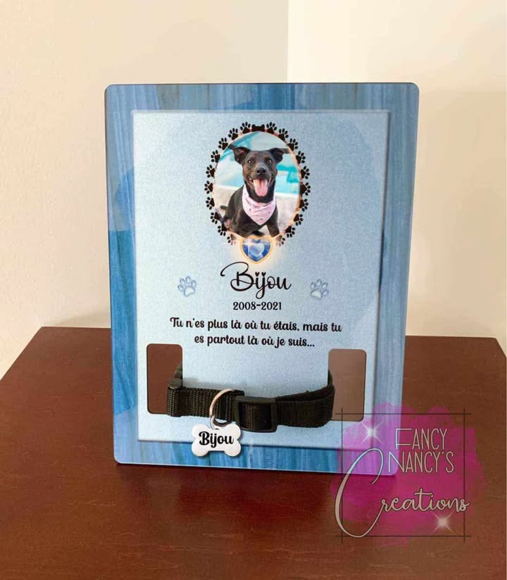 Dog Collar frame