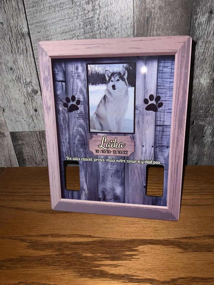 Dog Collar frame