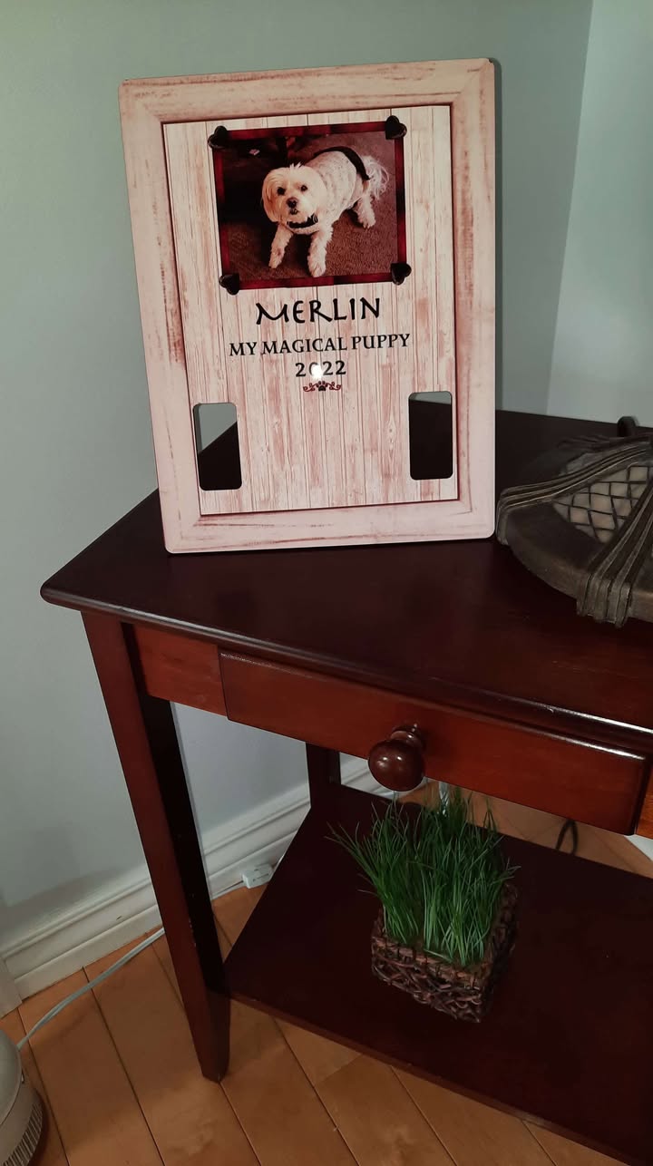 Dog Collar frame