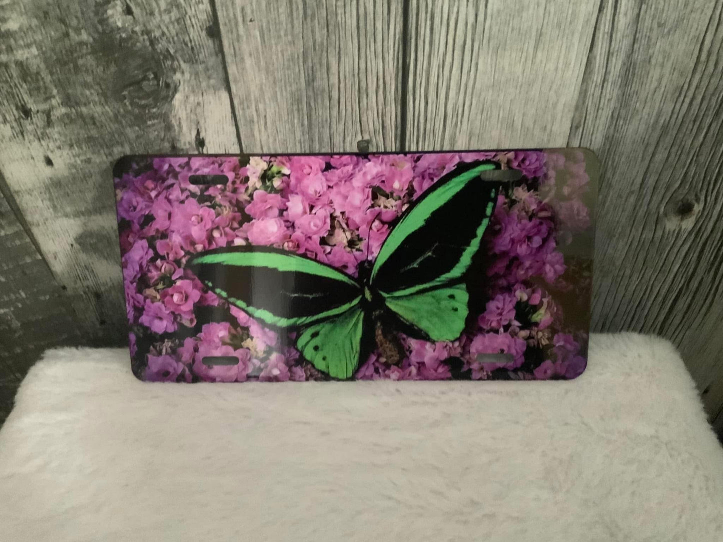 Plaque d'immatriculation 6x12