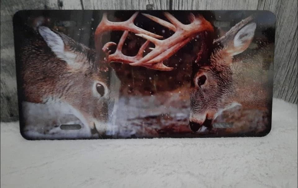 Plaque d'immatriculation 6x12